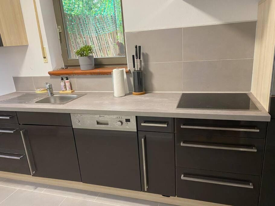 Wohnen in Weinbergsnähe Apartment in Wurzburg