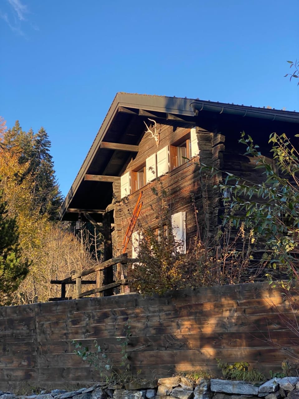 Property building, Day