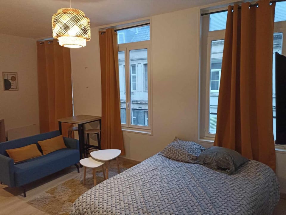 Deguise 9 Apartment in Valenciennes