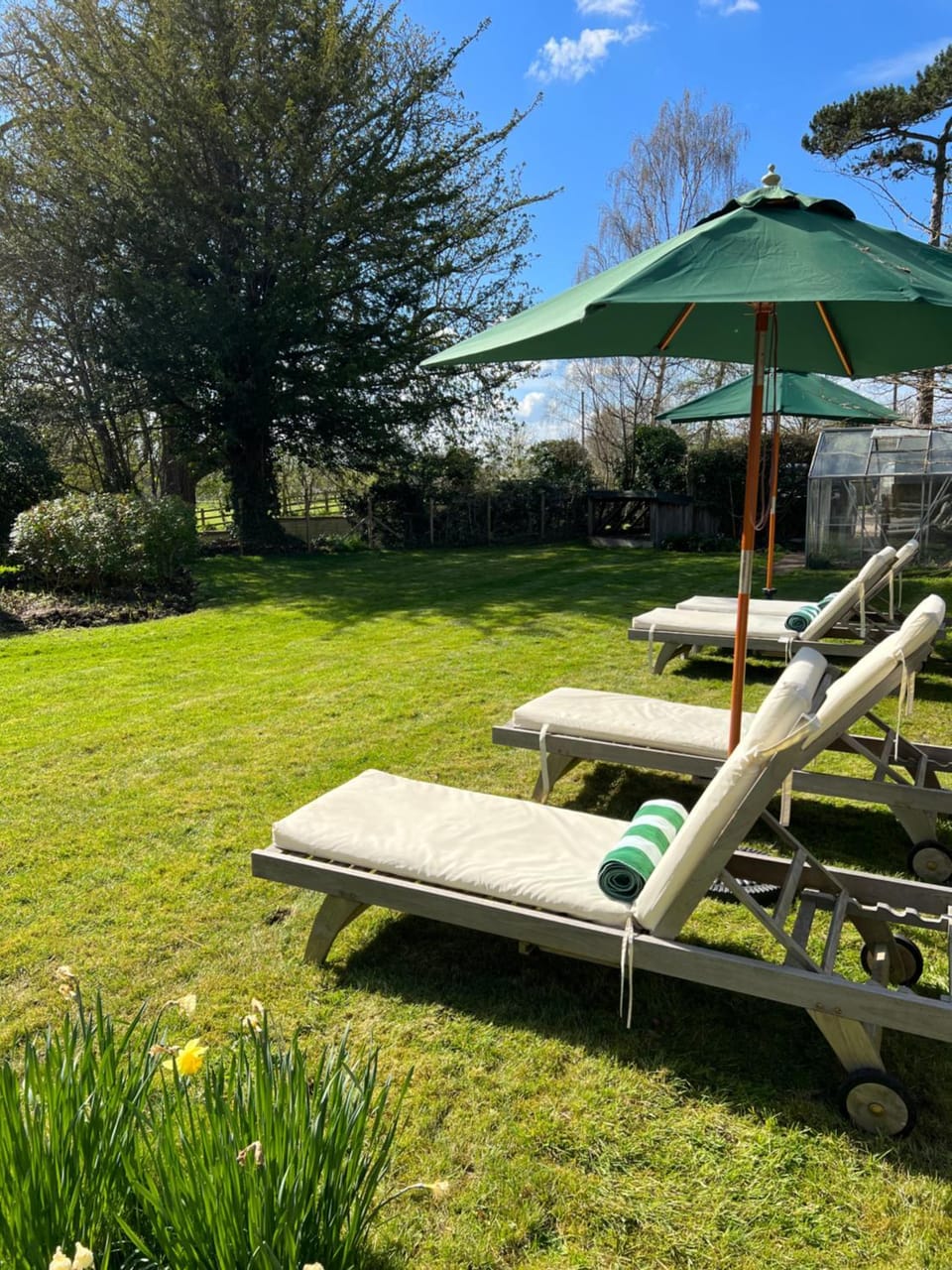 Spring, Day, Natural landscape, Summer, Garden, Garden view, sunbed, towels