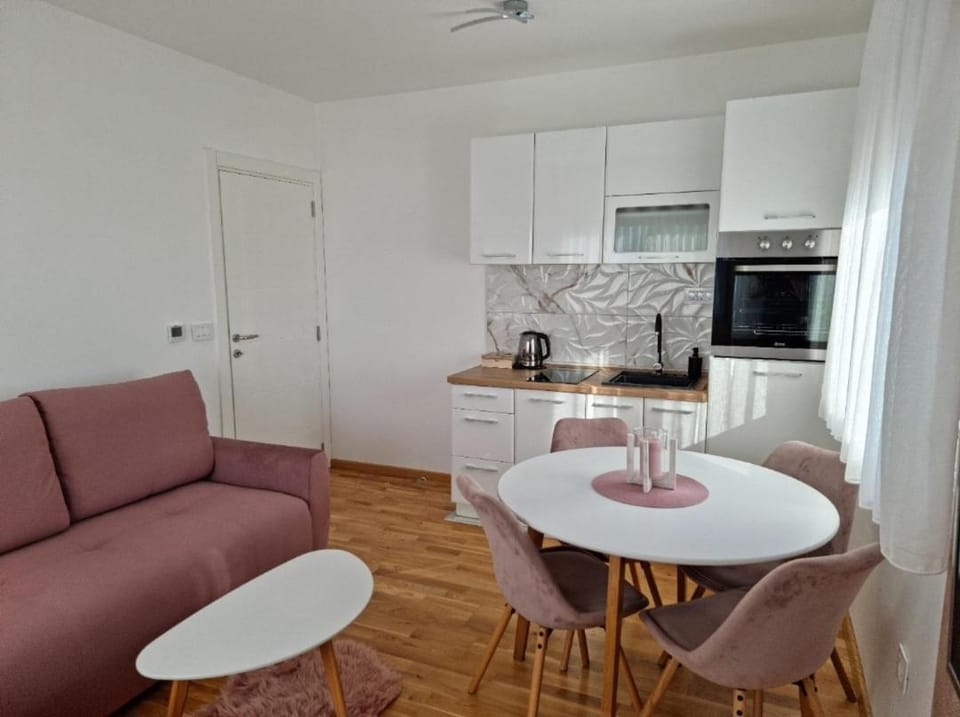 Apartman Stanislava Apartment in Zlatibor