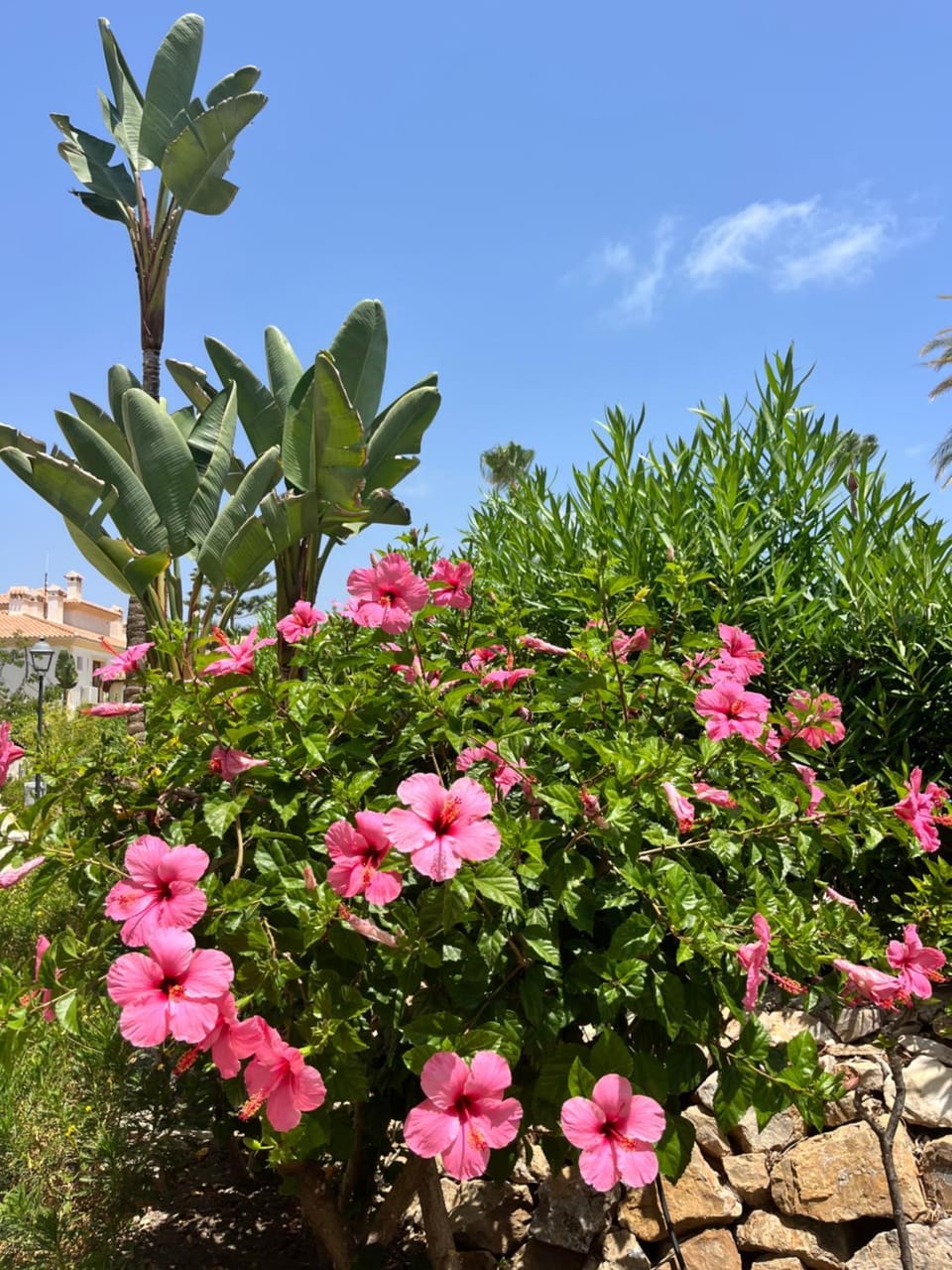 Luna Dorada Vera Playa- bajo Apartment in Andalusia
