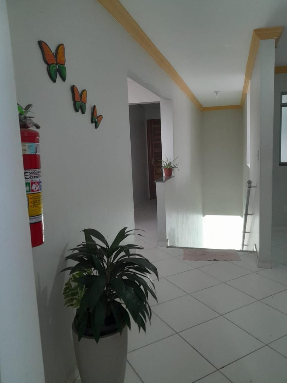 Area and facilities