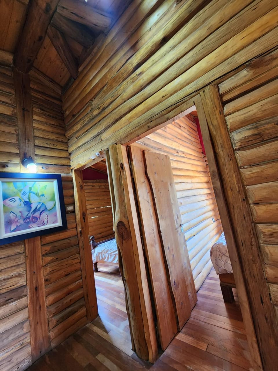 Bed, Photo of the whole room