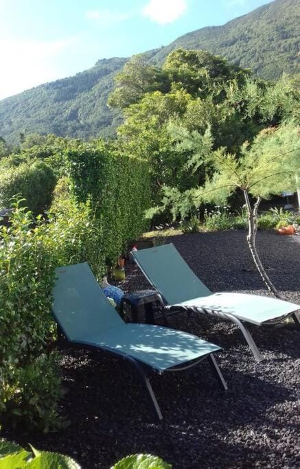 Garden, Balcony/Terrace, sunbed