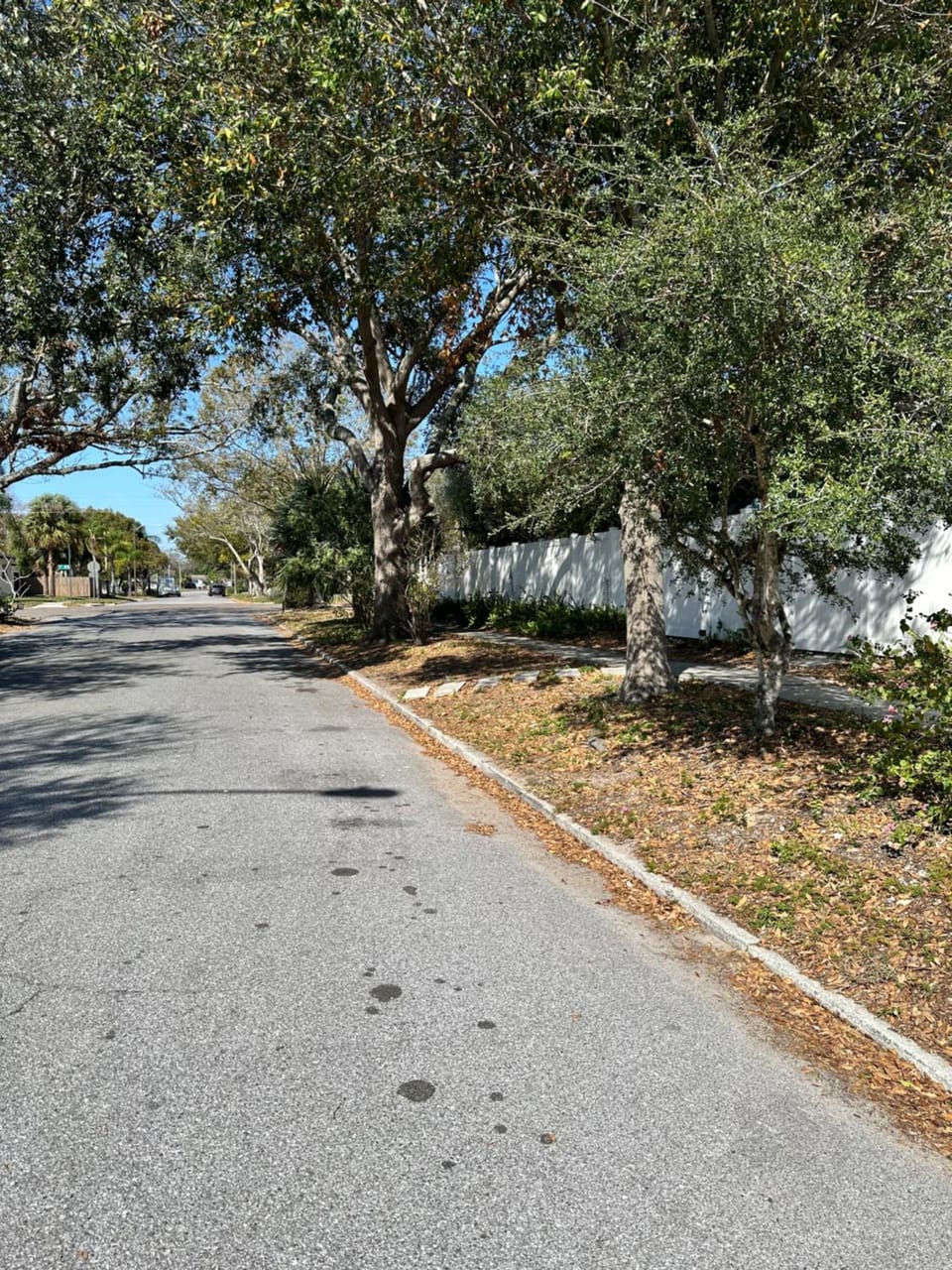 Neighbourhood, Natural landscape, Street view, Quiet street view, Parking