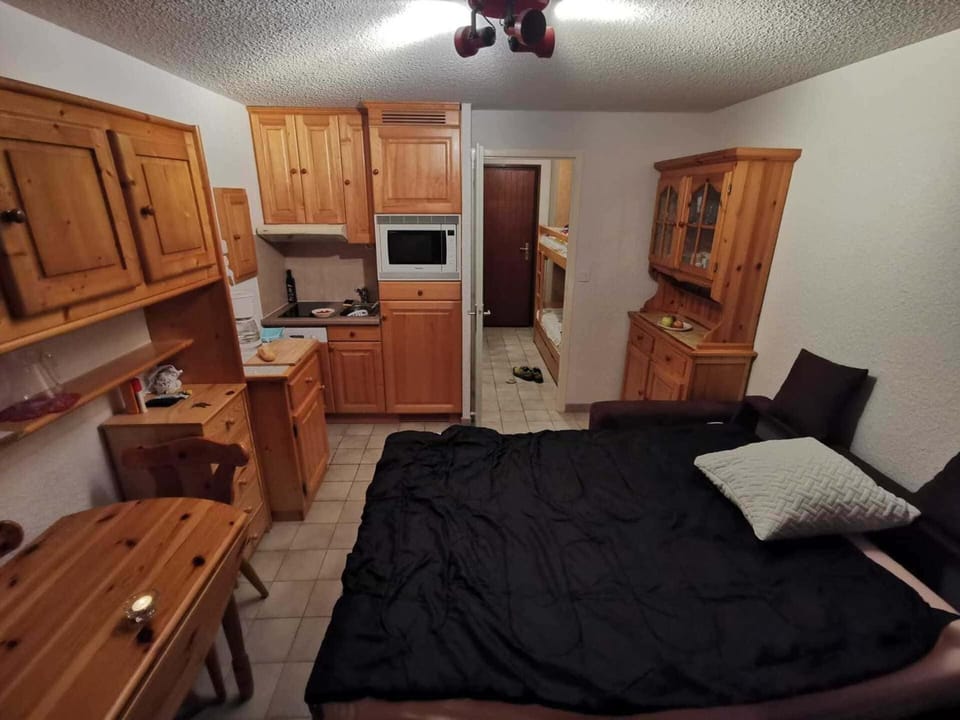 Studio 3 Pers Châtel, Terrasse, Animaux Ok - FR-1-676-180 Apartment in Châtel