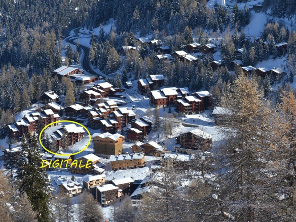 Appartement spacieux pour 8 personnes à Plagne 1800 - FR-1-455-249 Apartment in Mâcot-la-Plagne