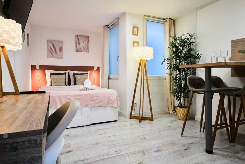 Large studio between train station & Grand Place Apartment in Lille