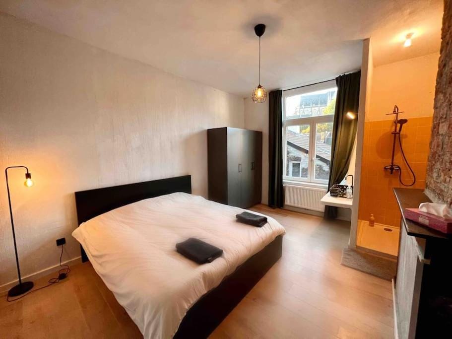 Le gîte aux Briques Rouges - Coeur historique Apartment in Liège