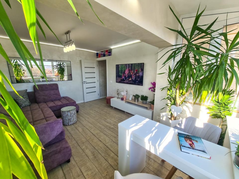 Elisa's Place Apartment in Brașov County