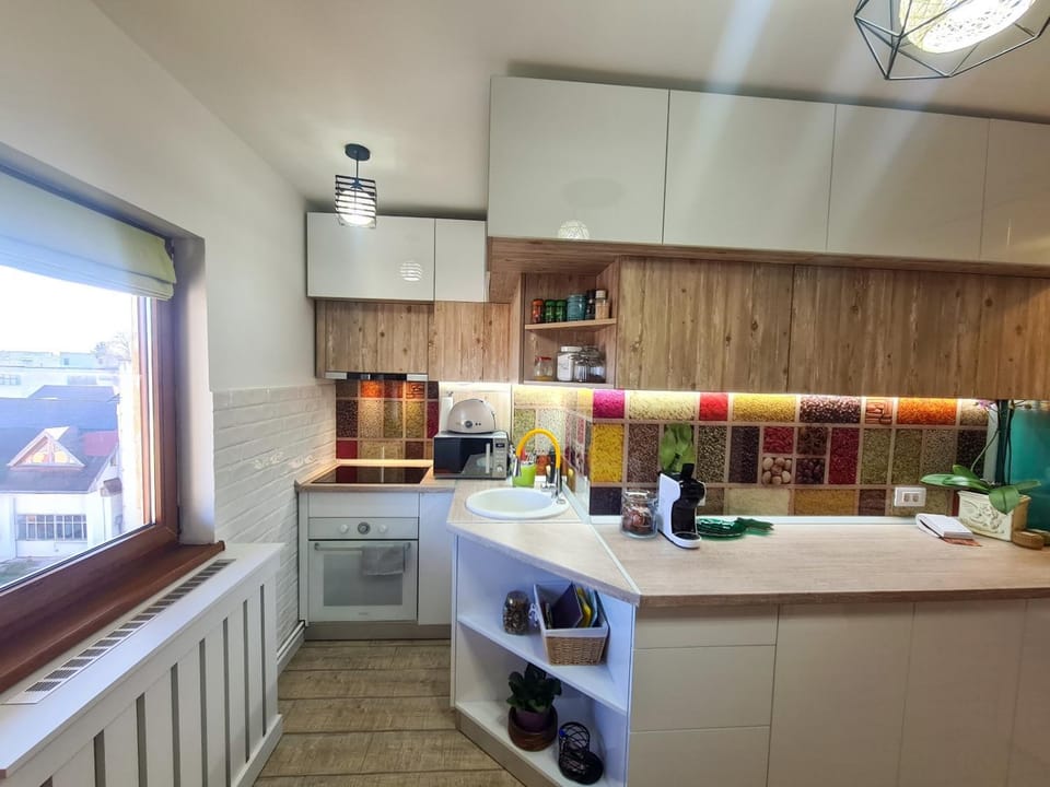 Elisa's Place Apartment in Brașov County