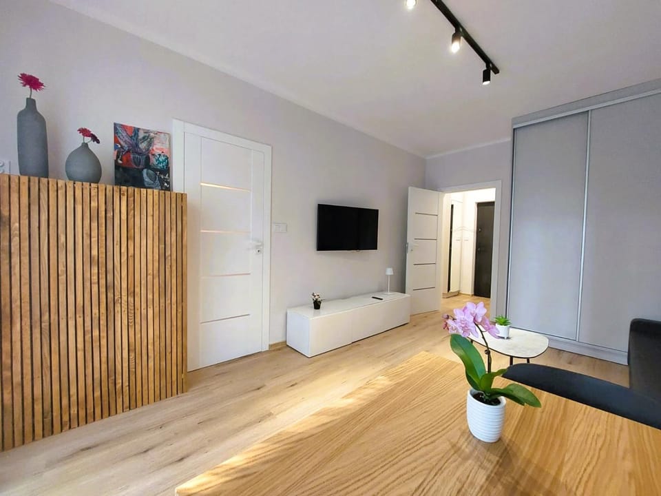 TV and multimedia, Living room, Seating area, Evening entertainment, wardrobe