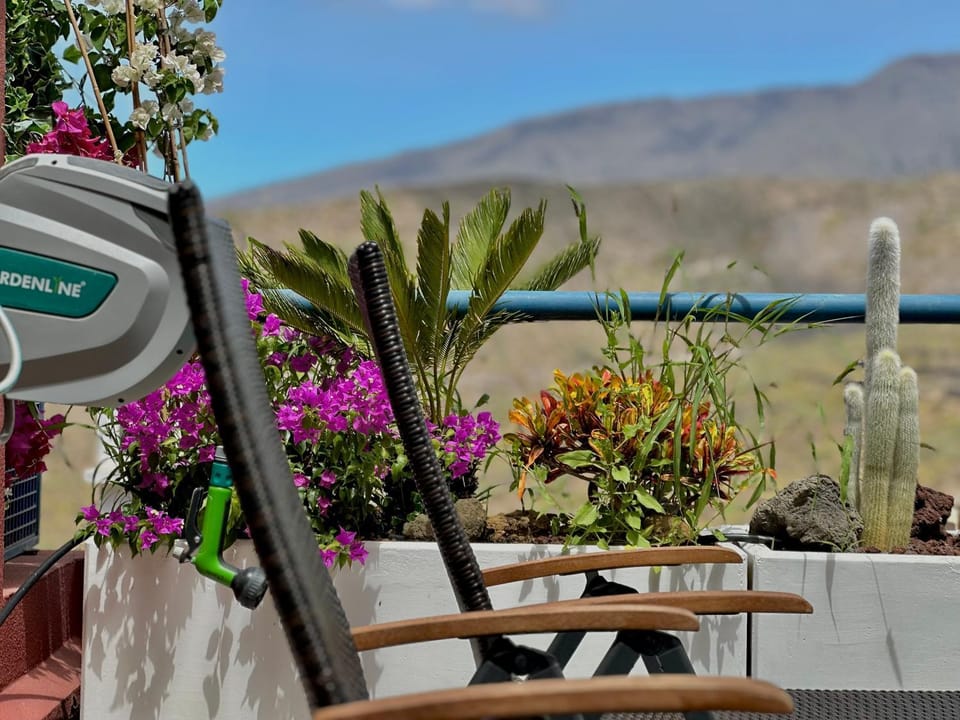 Natural landscape, Mountain view, sunbed