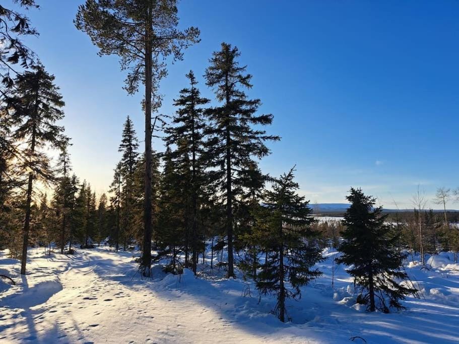 Natural landscape