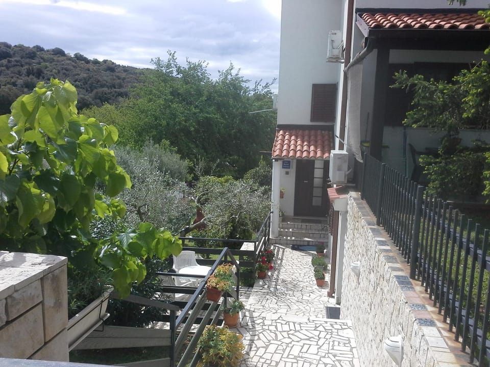 Patio, Day, Garden, Area and facilities
