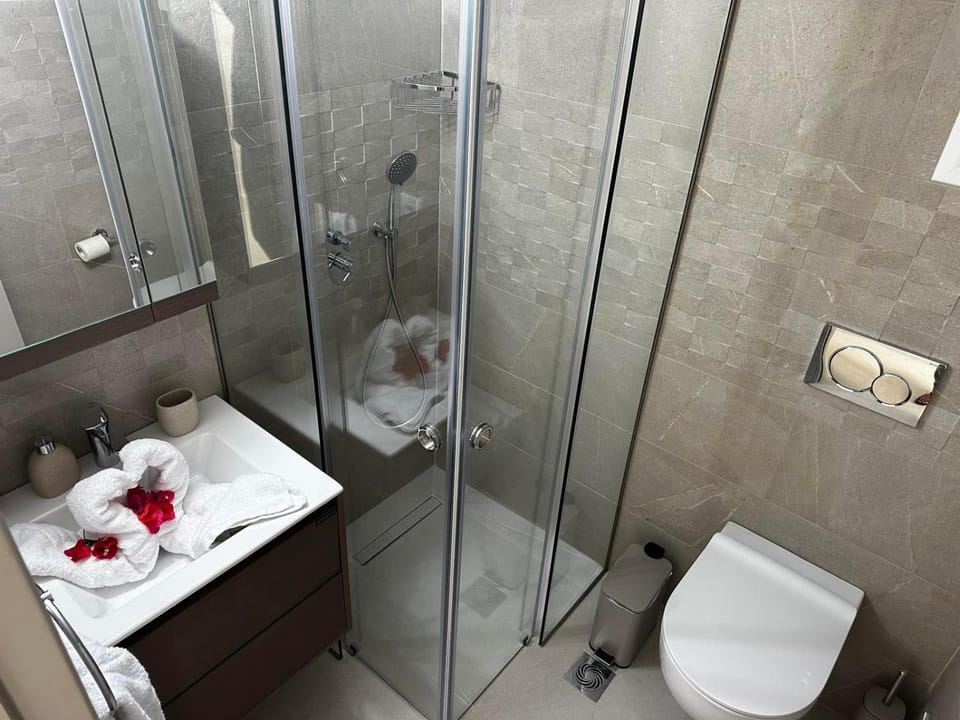 Shower, Toilet, Bathroom, towels