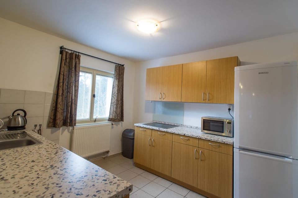 Kitchen or kitchenette, minibar, stove