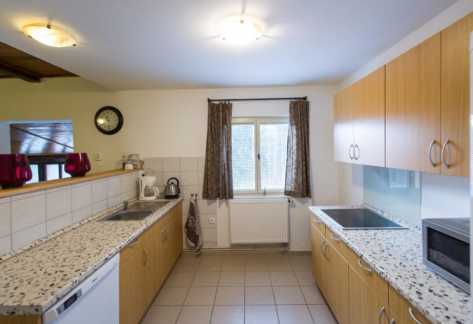 Kitchen or kitchenette, dishwasher, minibar, stove