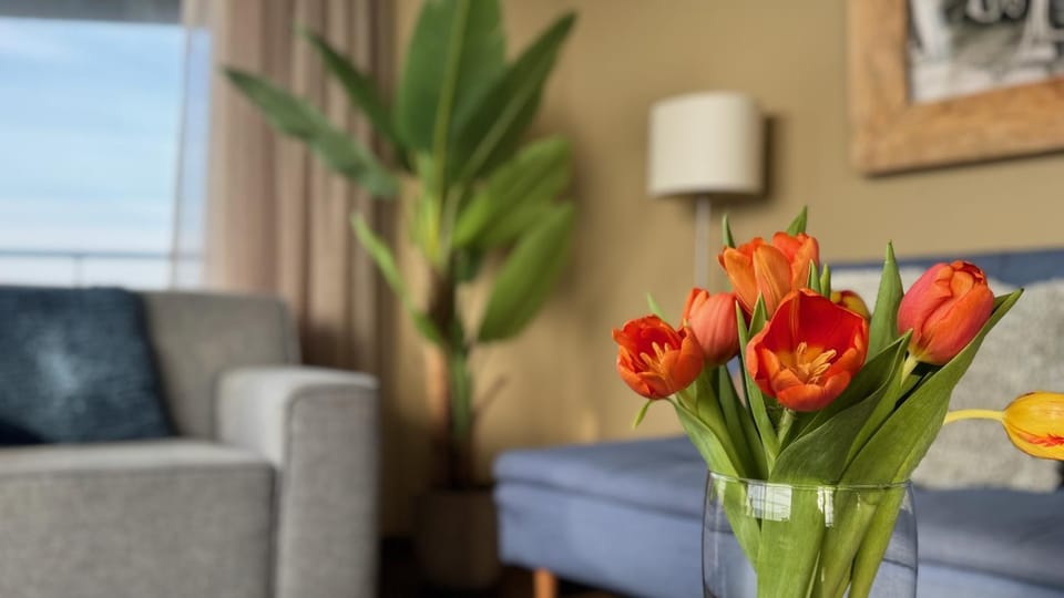 Sterflat 65 Apartment in Egmond aan Zee