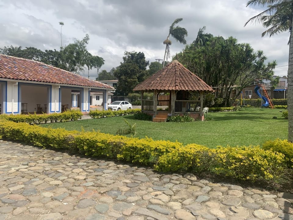 Garden view
