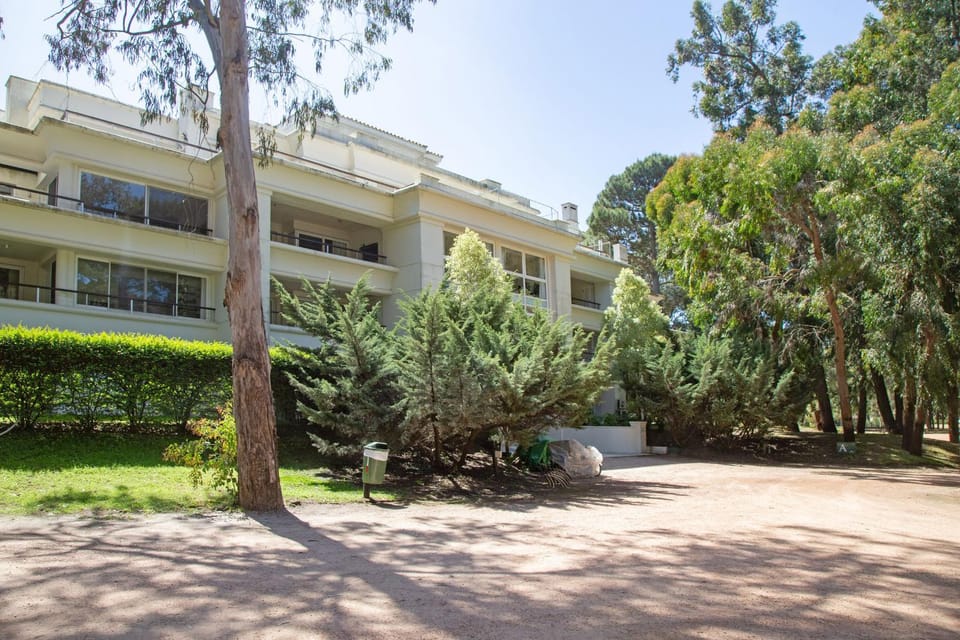 Property building, Natural landscape, Garden