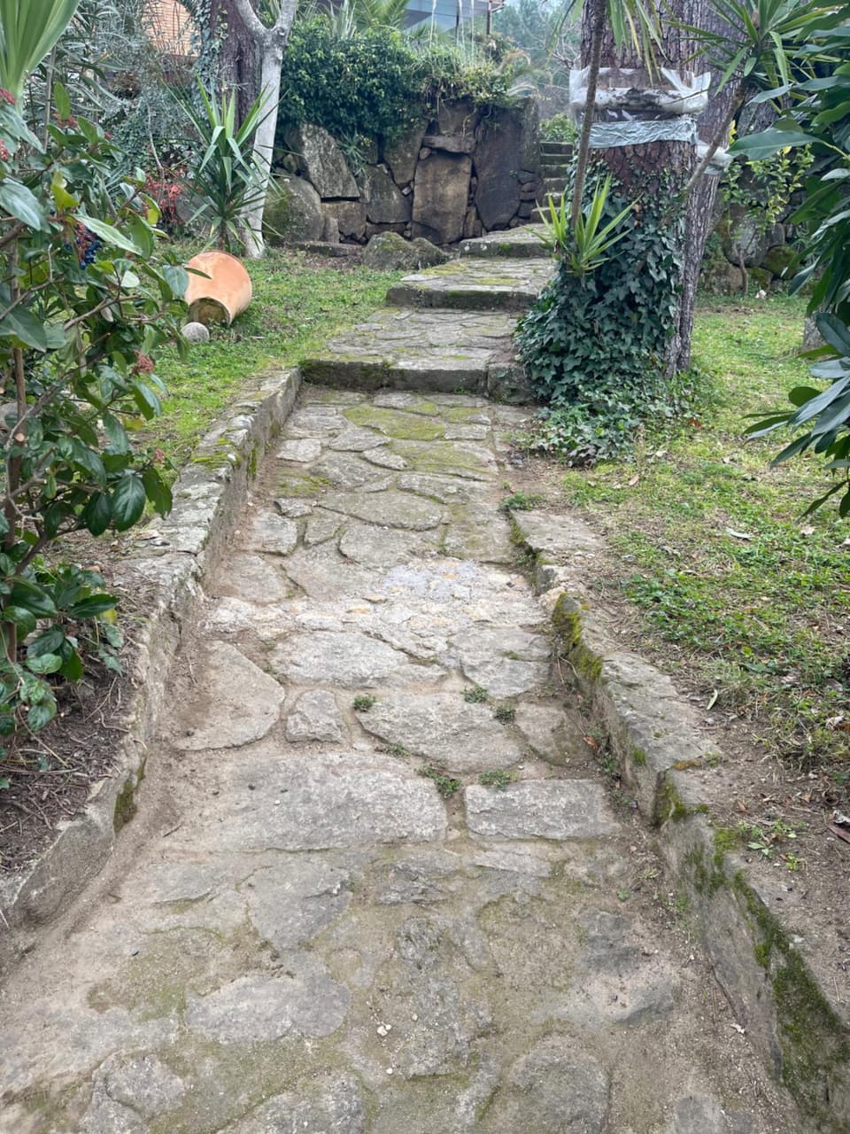 Lobby or reception, Garden view