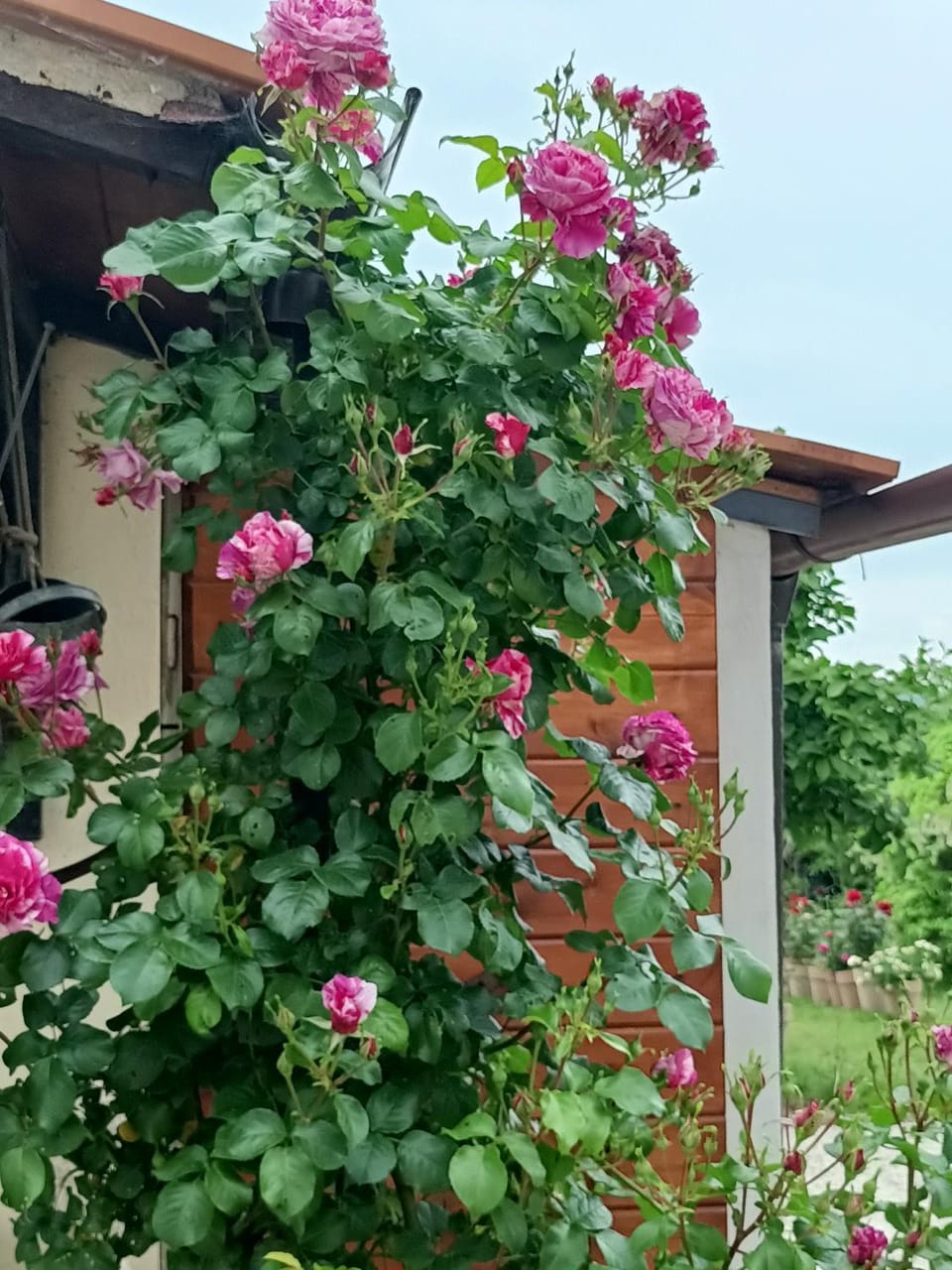 Colle Perazzoni Apartment in Lazio