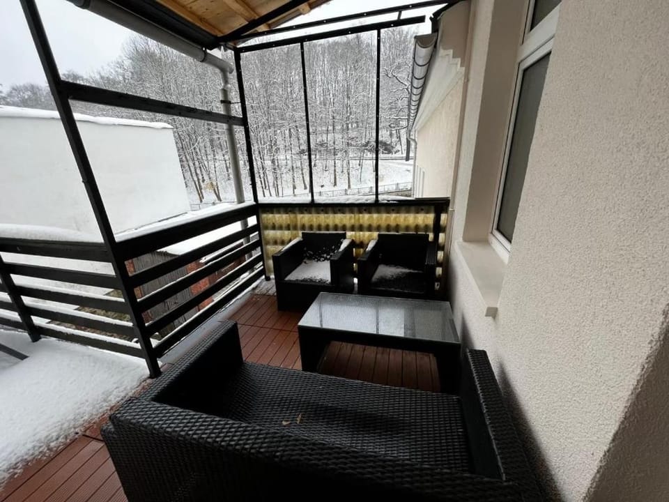 Apartment Conan Apartment in Saxony