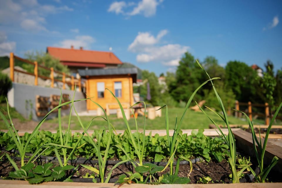Day, Garden, Garden view