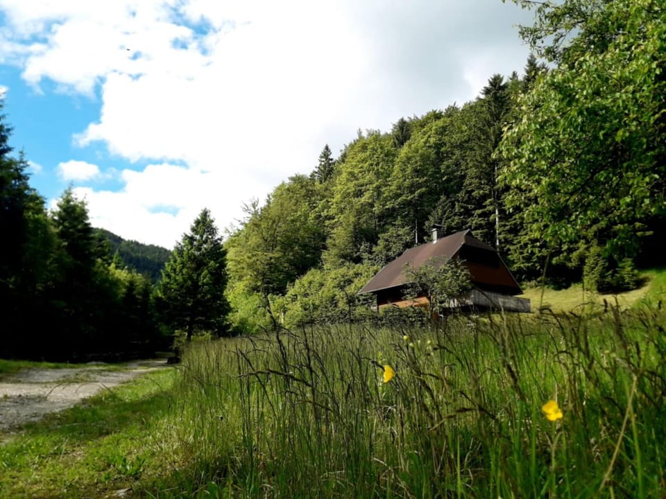 Natural landscape