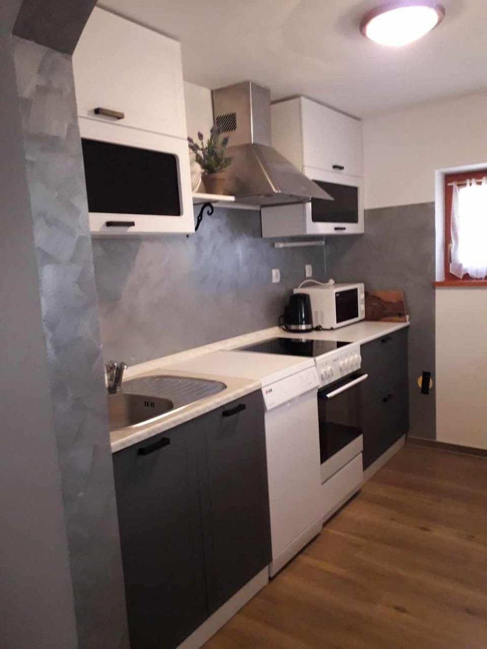 Kitchen or kitchenette, dishwasher, minibar, stove