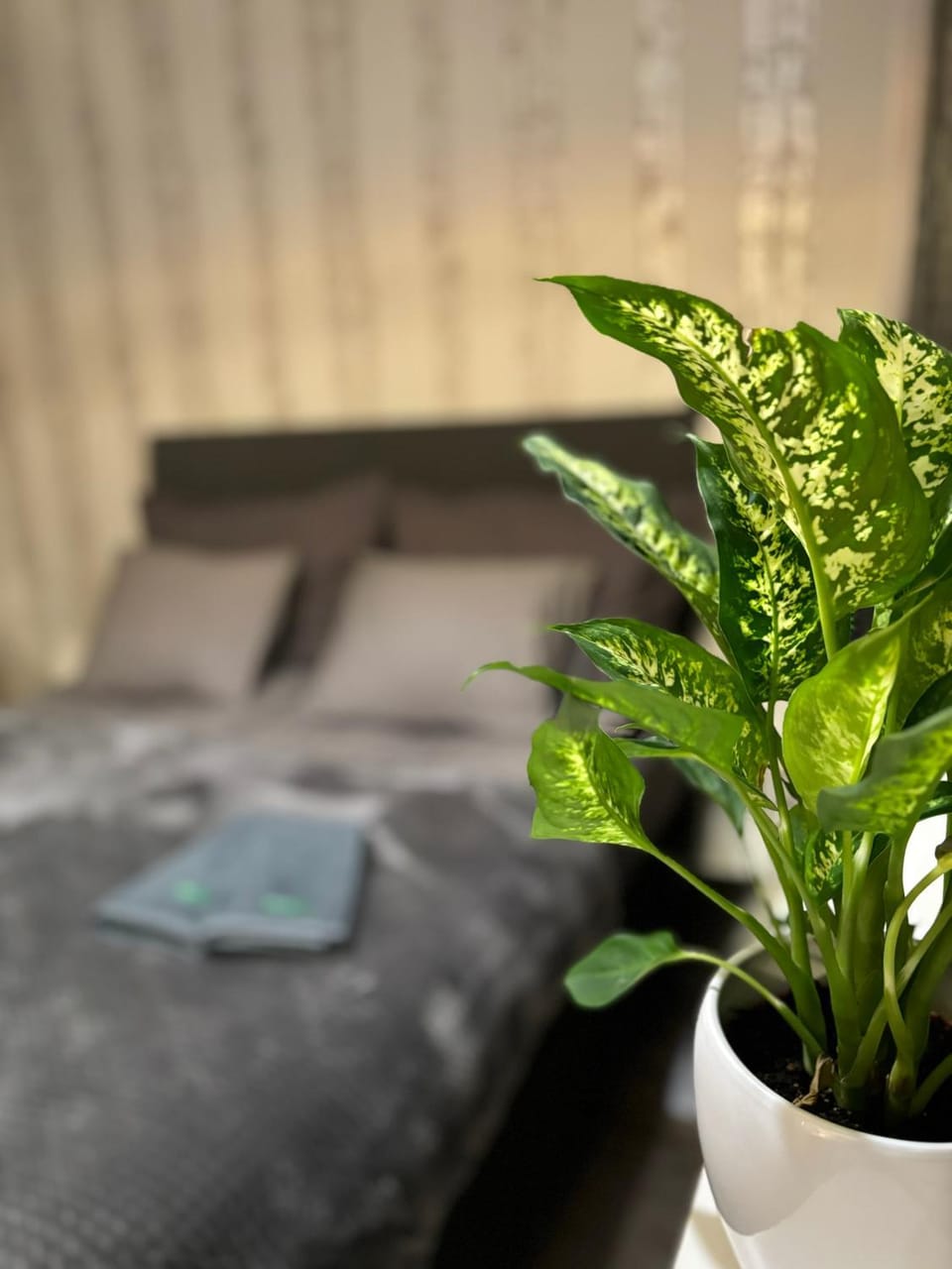 Bed, towels