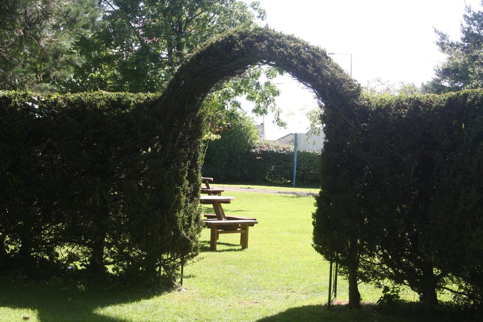 Spring, Day, Natural landscape, Garden, Garden view