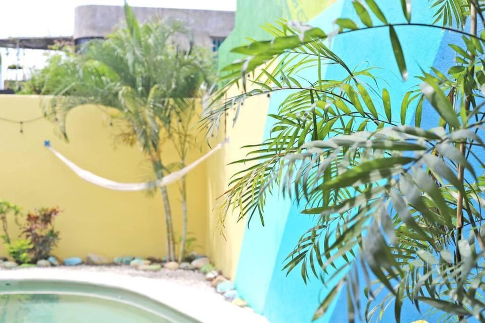 Walkable Rinconada Studio King Bed, Pool, Fast WiFi - Trees Apartment in Puerto Escondido