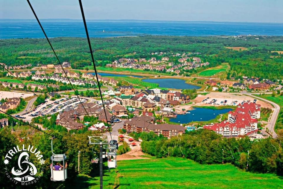 Natural landscape, Bird's eye view