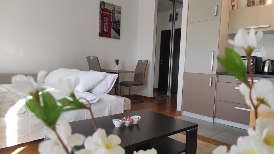 Bed, Kitchen or kitchenette, Living room, Photo of the whole room, Seating area, Dining area, Bedroom