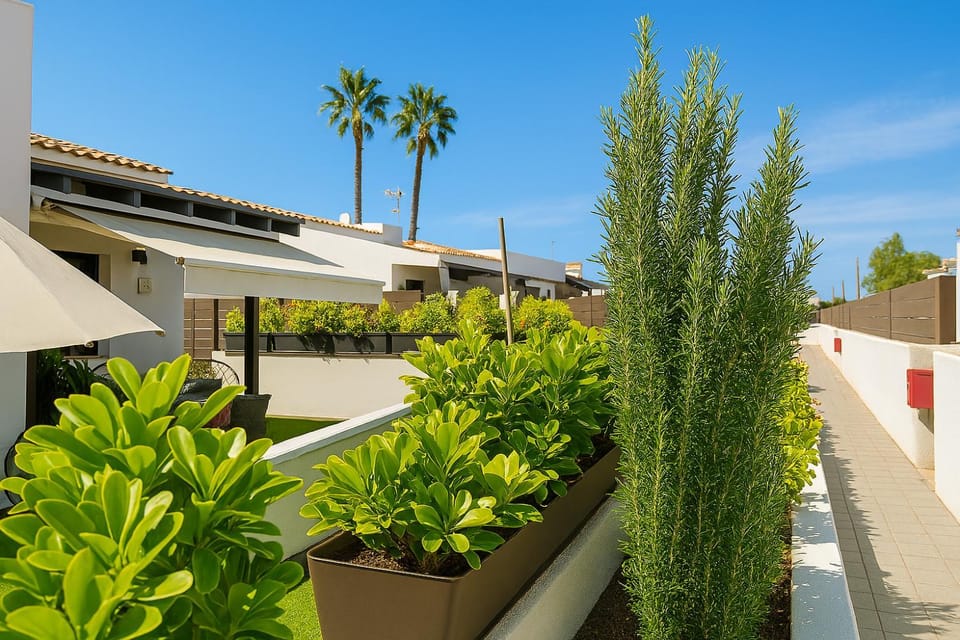 Property building, Spring, Day, Garden, Garden view