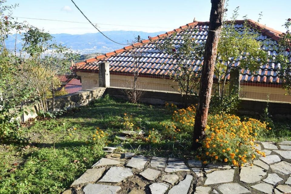 Day, Garden, Garden view, Inner courtyard view
