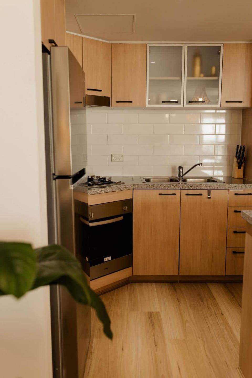 Kitchen or kitchenette, dishwasher, oven, stove