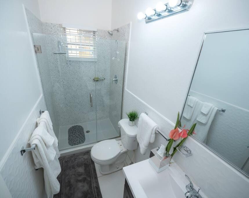 Shower, Toilet, Bathroom, towels