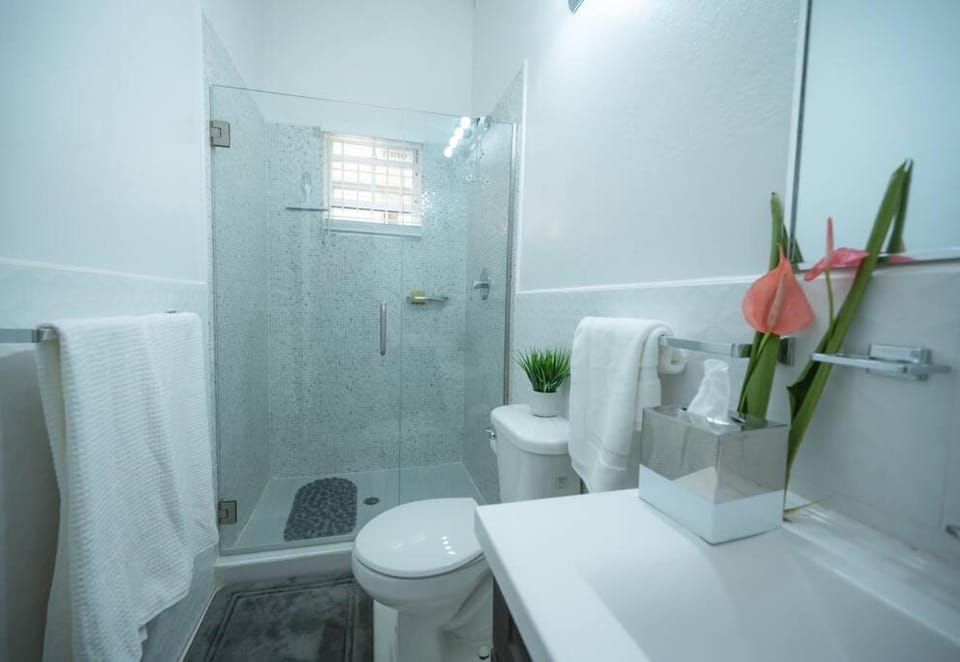 Shower, Toilet, Bathroom, towels