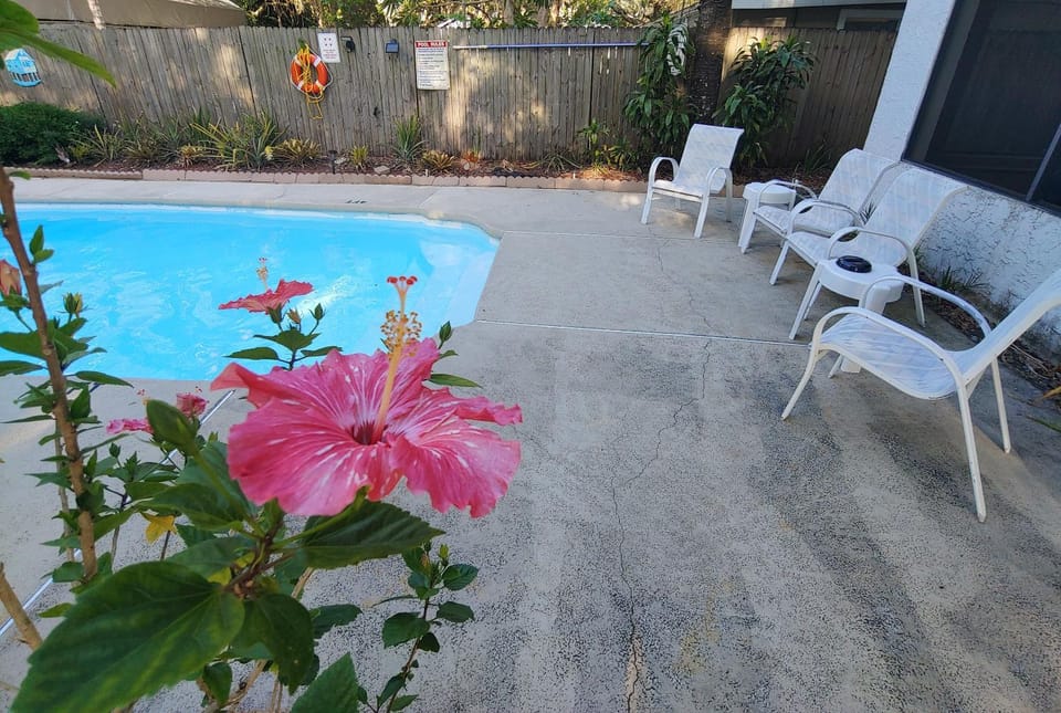 Patio, Garden, Garden view, Pool view, Swimming pool, sunbed