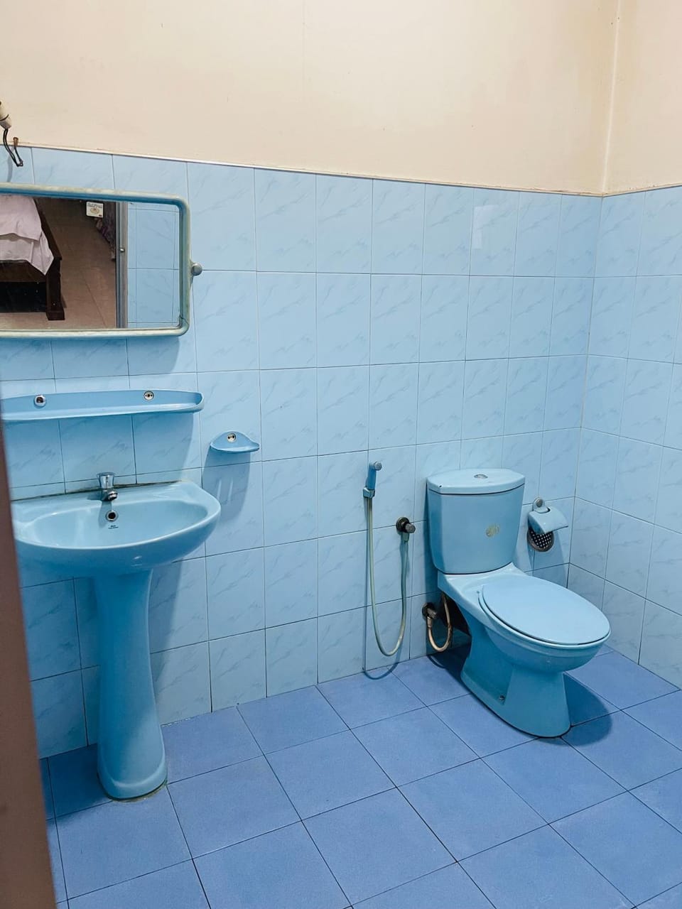 Toilet, Bathroom