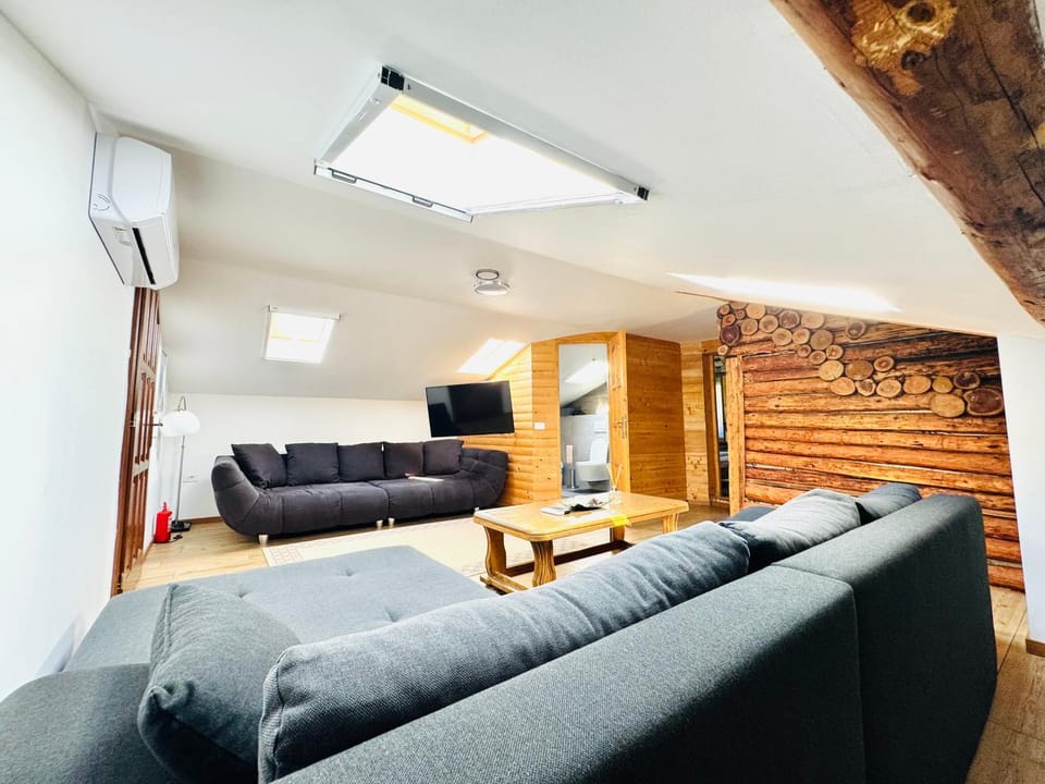 Vila Eruga- Apartament 2 Apartment in Timiș County