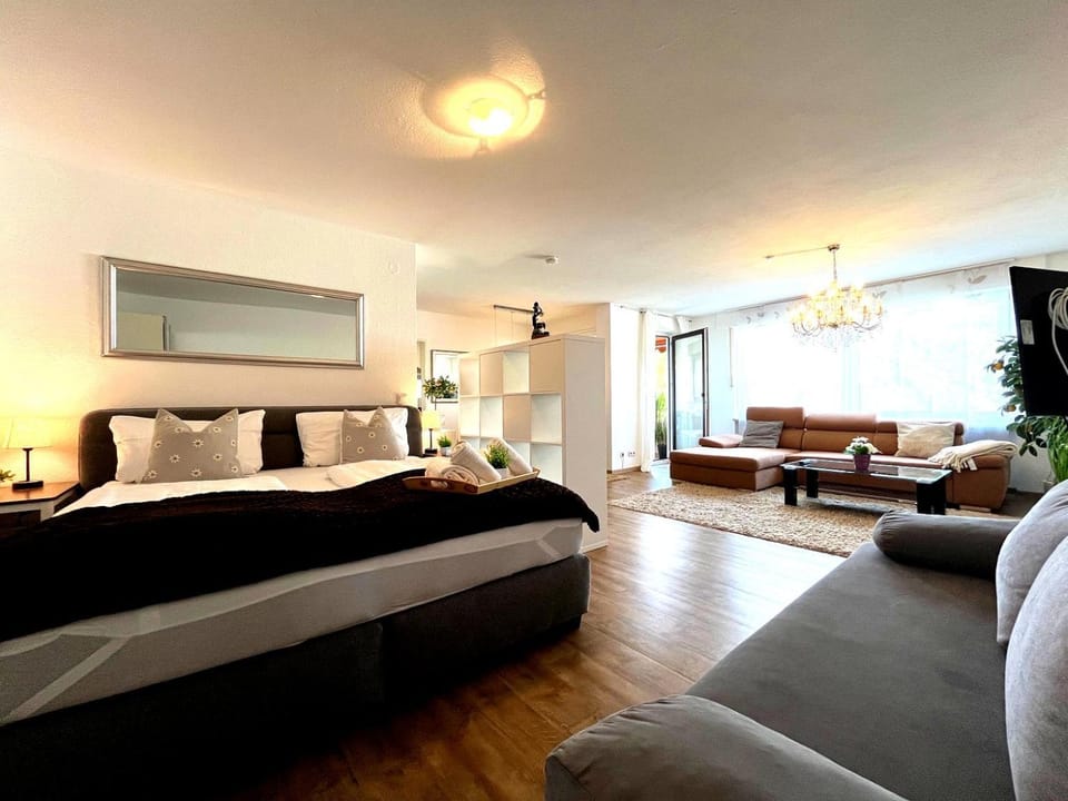 Living room, Photo of the whole room, Seating area, Bedroom