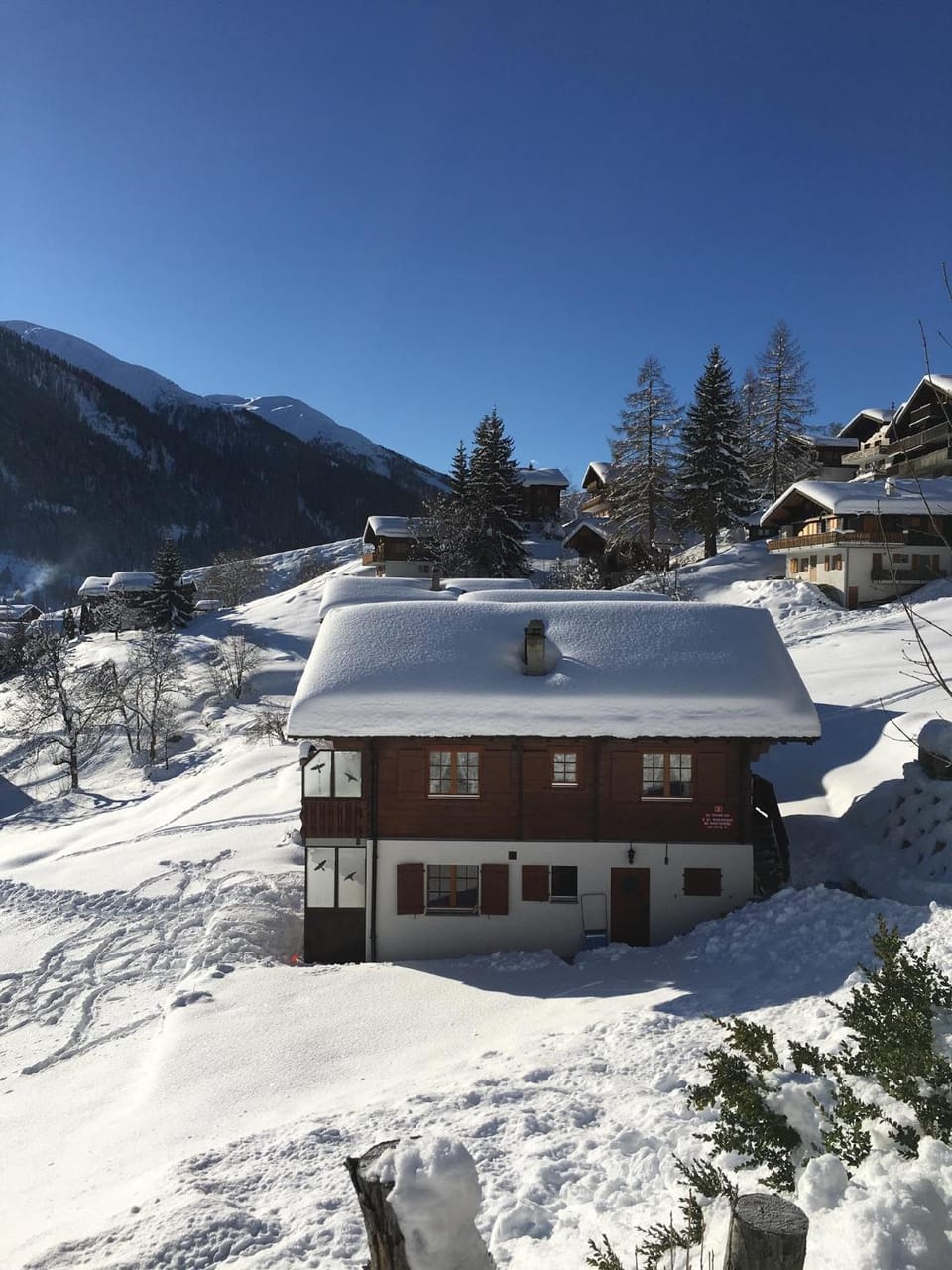Chalet Bellwald Apartment in Canton of Valais