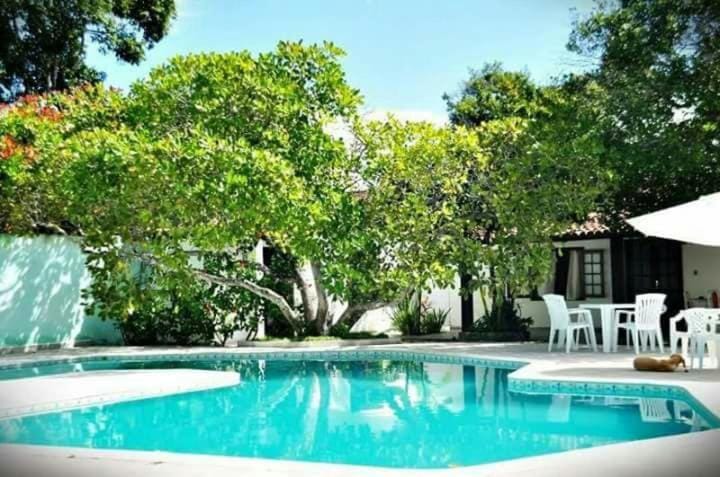 Spring, Day, Garden, Swimming pool