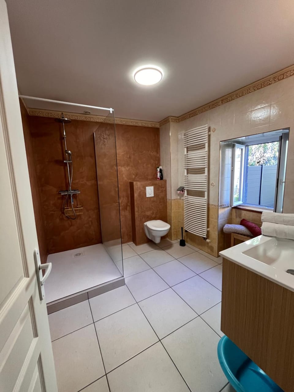 Shower, Toilet