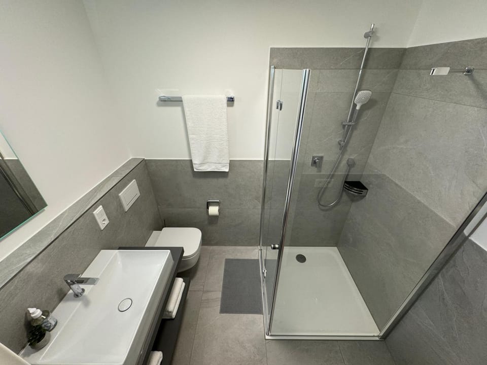 Shower, Toilet, Bathroom, towels